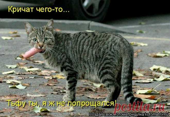 Дневник anngol