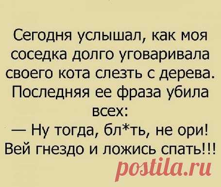 (13) Мой Мир@Mail.Ru