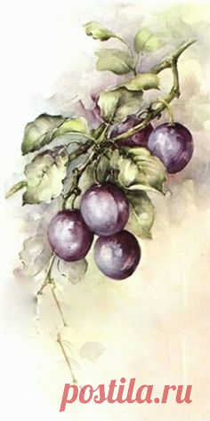 Pinterest • Всемирный каталог идей