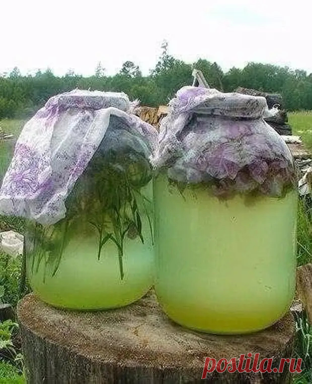 Сурица — необыкновенный напиток, который готовили наши предки - Вкусно с Любовью - Медиаплатформа МирТесен