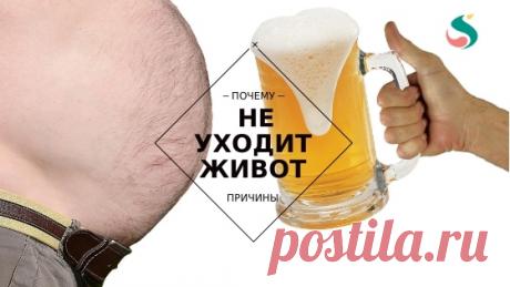 Диета и потеря веса: причины, по которым вы не теряете живот ~ SLOVESA - журнал о развитии