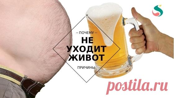 Диета и потеря веса: причины, по которым вы не теряете живот ~ SLOVESA - журнал о развитии