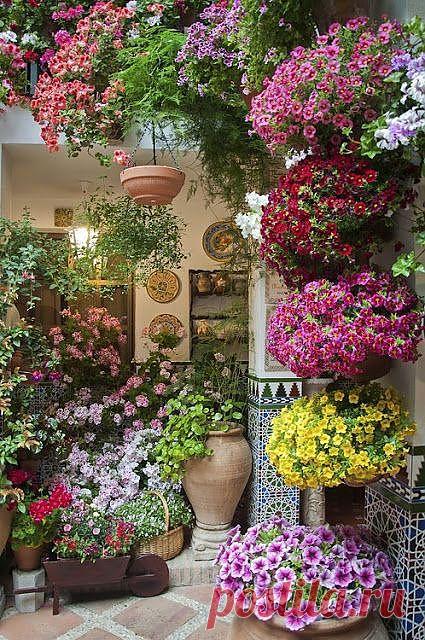 Дворик в цветах