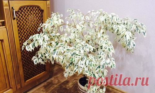 Мои маленькие уголки счастья!!! - Почта Mail.Ru