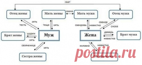 Родня: свекор, свекровь, деверь, золовка, невестка, сноха, тесть, теща, шурин, свояченица, свояк, зять