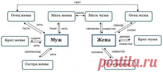 Родня: свекор, свекровь, деверь, золовка, невестка, сноха, тесть, теща, шурин, свояченица, свояк, зять