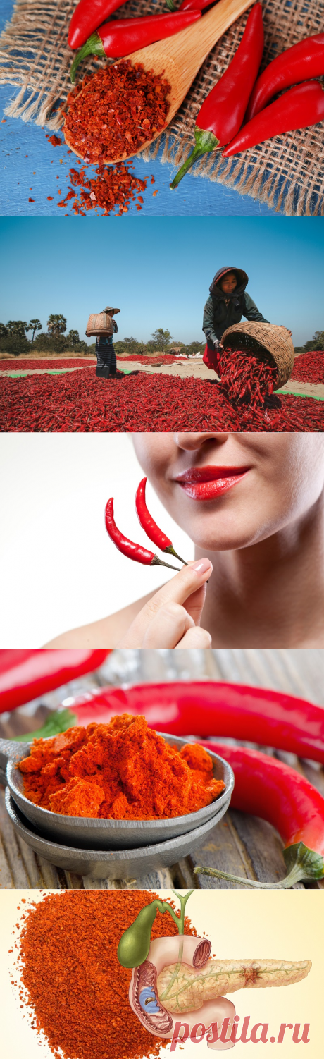 Специя, которая уничтожает раковые клетки, улучшает пищеварение, стимулирует печень и помогает похудеть

Кайенский перец является превосходным источником рибофлавина, калия, железа и магния. В нём содержатся витамины Е, А, С, В6, К и марганец. В отличие от других сортов, кайенский перец содержит значительное количество алкалоида капсаицина, который и придает ему жгучий вкус. 
Прочитайте как его употреблять.