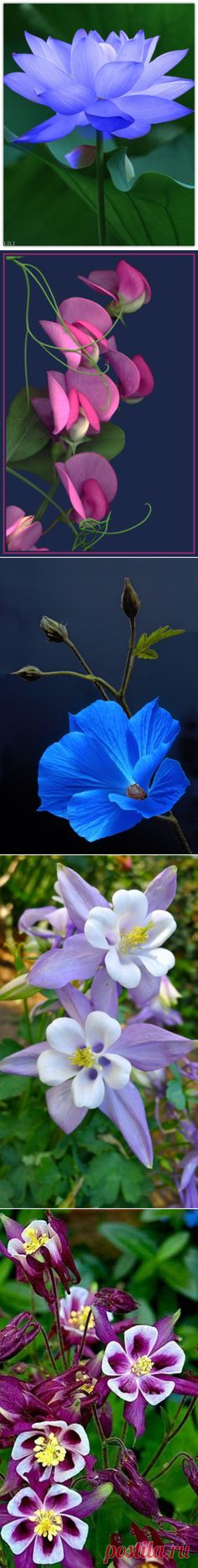 (753) Pinterest • Всемирный каталог идей