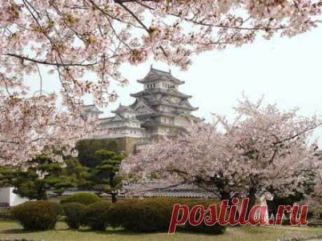 Замок Белой Цапли (Himeji Castle)  Химедзи, Япония