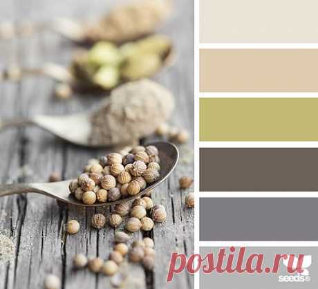 Design Seeds® | find your palette
