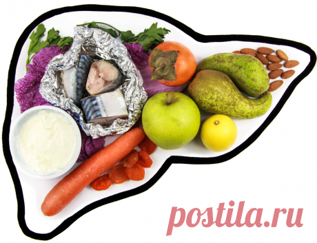 Эти 13 продуктов нужно включить в диету, чтобы помочь восстановлению печени после болезней и при приеме алкоголя | О здоровье: с медицинского на русский | Дзен