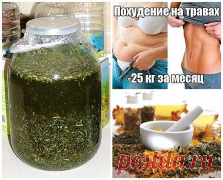 Травки для похудения