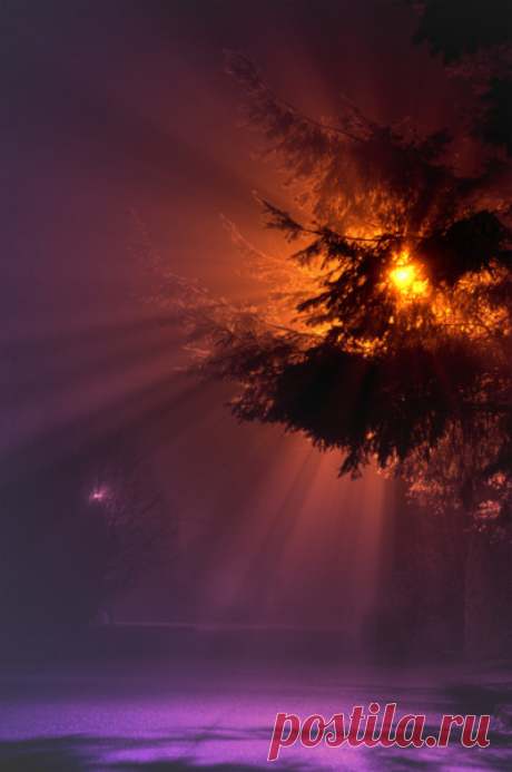 Winterstille