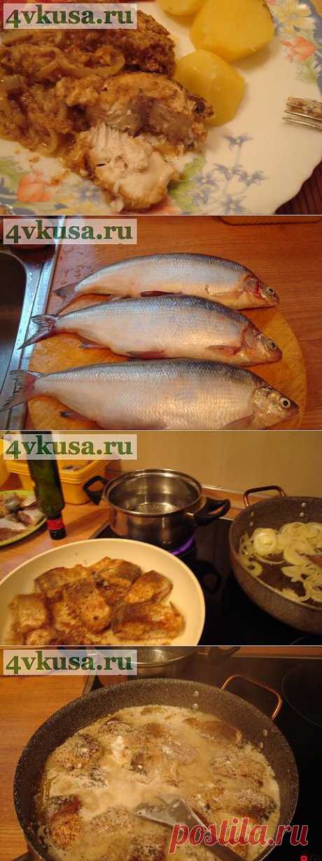 Пелядь в сметане | 4vkusa.ru