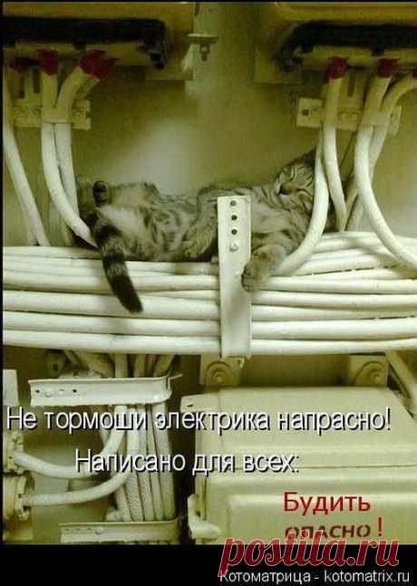 ВСЁ ЛУЧШЕЕ ИЗ YOU TUBE (16 плюс)
Евгений Куликов