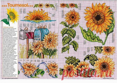 (99) Одноклассники