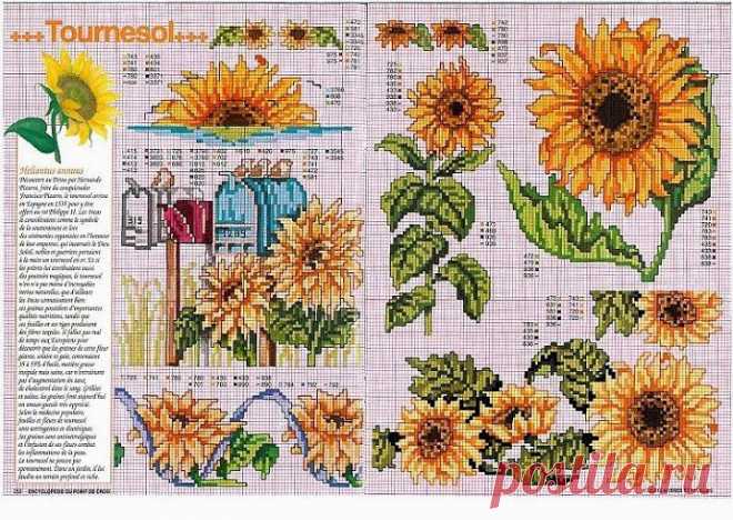 (99) Одноклассники