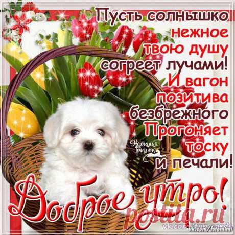Новости