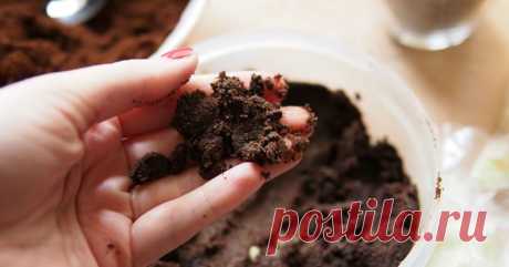 Использование кофейной гущи