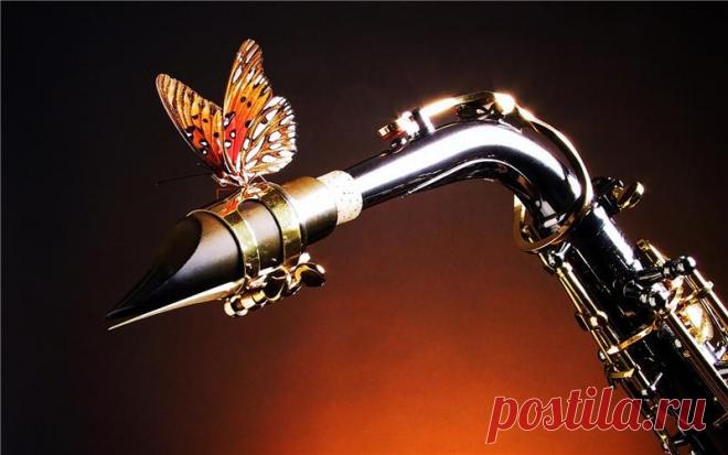 Очень символично - саксофон и бабочка!