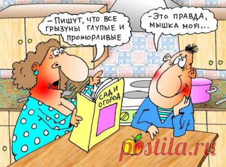 Ни один мускул не дрогнул на лице жены, когда муж признался в измене... Улыбнемся))