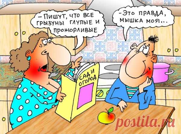 Ни один мускул не дрогнул на лице жены, когда муж признался в измене... Улыбнемся))