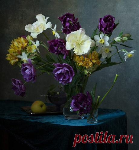 «Фотограф Алина Ланкина Photos of flowers в 2018 г. Цветы, На» — карточка пользователя Морозова Елена в Яндекс.Коллекциях