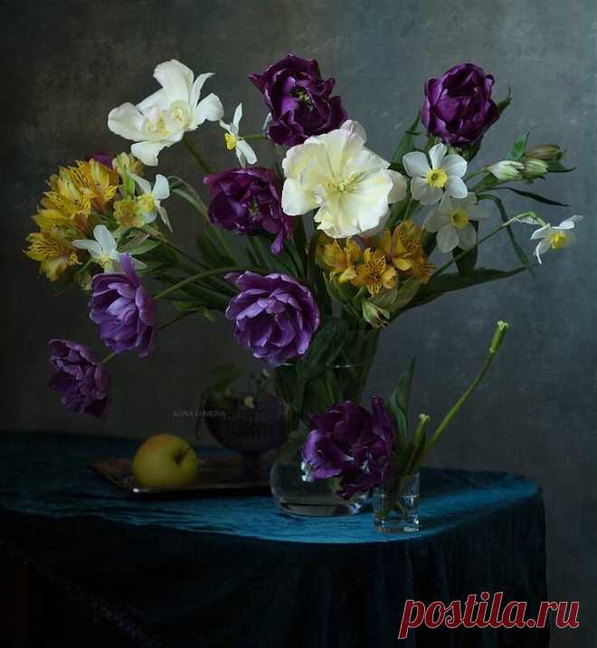 «Фотограф Алина Ланкина Photos of flowers в 2018 г. Цветы, На» — карточка пользователя Морозова Елена в Яндекс.Коллекциях