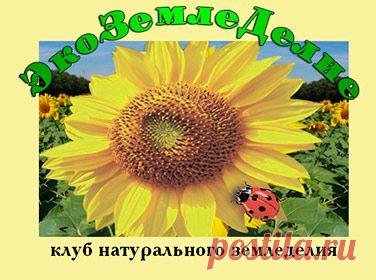 Удобрение Rost концентрат универсальный (NPK=5:5:5), 1л.