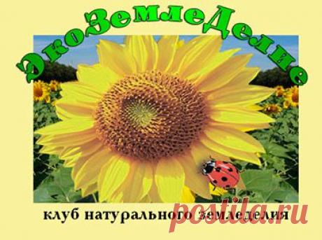 Удобрение Rost концентрат универсальный (NPK=5:5:5), 1л.