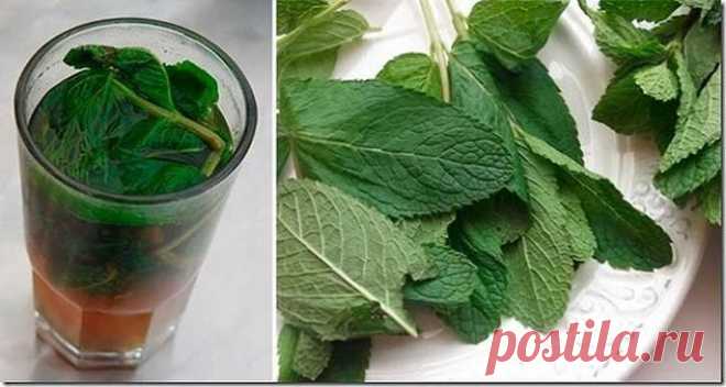 Всего стакан этого напитка и ваша печень обновится! Вкусно и полезно!