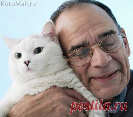 Пушистое чудо природы