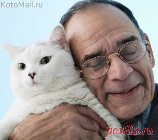 Пушистое чудо природы
