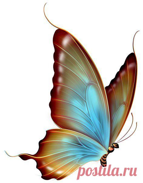 Картинки для творчества | 1 772 фотографии | ВКонтакте