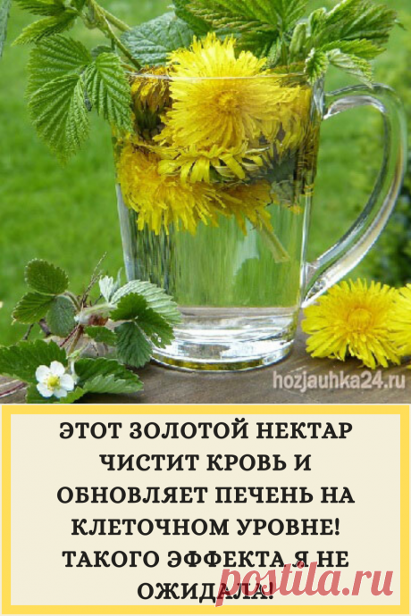 ЭТОТ ЗОЛОТОЙ НЕКТАР ЧИСТИТ КРОВЬ И ОБНОВЛЯЕТ ПЕЧЕНЬ НА КЛЕТОЧНОМ УРОВНЕ! ТАКОГО ЭФФЕКТА Я НЕ ОЖИДАЛА!