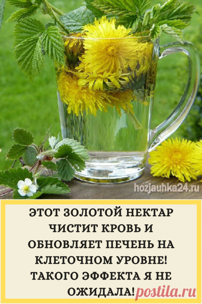 ЭТОТ ЗОЛОТОЙ НЕКТАР ЧИСТИТ КРОВЬ И ОБНОВЛЯЕТ ПЕЧЕНЬ НА КЛЕТОЧНОМ УРОВНЕ! ТАКОГО ЭФФЕКТА Я НЕ ОЖИДАЛА!