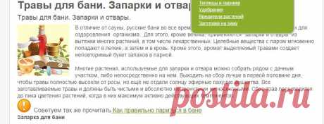 Травы для бани. Запарки и отвары.