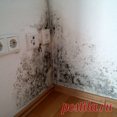 🧼 Клининговые услуги по уборке квартир, офисов, технических помещений
🔟 Большой опыт работ 🙇 Ответственность за порчу 💝 Приятные цены
🌍 Работаем по всей Москве и Московской области 📞 +7(969)022-34-60