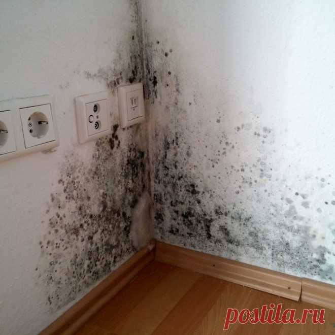 🧼 Клининговые услуги по уборке квартир, офисов, технических помещений
🔟 Большой опыт работ 🙇 Ответственность за порчу 💝 Приятные цены
🌍 Работаем по всей Москве и Московской области 📞 +7(969)022-34-60