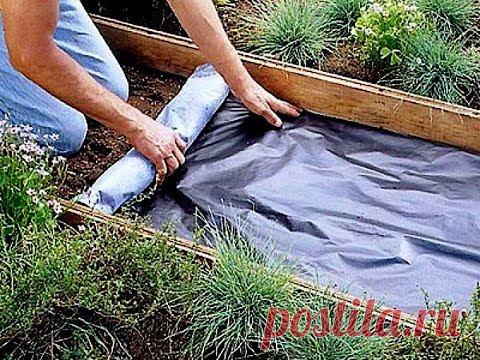 🌷Интересные Идеи Грядок и Дорожек для Дачи, Огорода и Сада своими руками😱Бери и делай