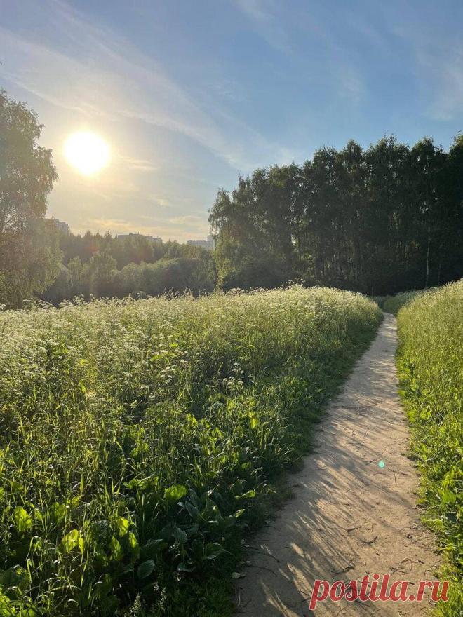 На что мы тратим свою жизненную энергию, и как ее вернуть
Зачастую нам кажется, что мы теряем силы в работе или каком-то занятии — например, в материнстве. Однако, в действительности, мы тратим силы в борьбе с самими собой или в борьбе с другими людьми. Когда мне в терапию приносят запрос, который звучит как: «Нет сил», «Вымотана до предела», «Все надоело», «Устала», я спрашиваю, куда уходят силы. […]
Читай пост далее на сайте. Жми ⏫ссылку выше