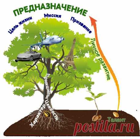 ✽ В этом суть Вашего развития и самореализации... / Компоненты успешного человека / Блоги / Личное развитие и самореализация