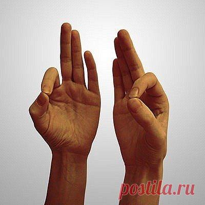 ღМУДРА ЗНАНИЯ
Эта мудра одна из наиболее важных. Снимает эмоциональное напряжение, тревогу, беспокойство, меланхолию, печаль, тоску и депрессию. Улучшает мышление, активизирует память, концентрирует потенциальные возможности.
Показания: бессонница или чрезмерная сонливость, высокое кровяное давление. Эта мудра возрождает нас заново. Многие мыслители, философы, ученые пользовались и пользуются этой мудрой.