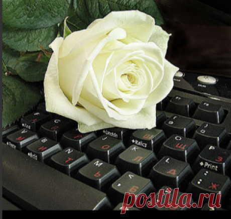 Просто подарок ... занятому человеку.