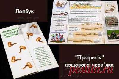 Лепбук 