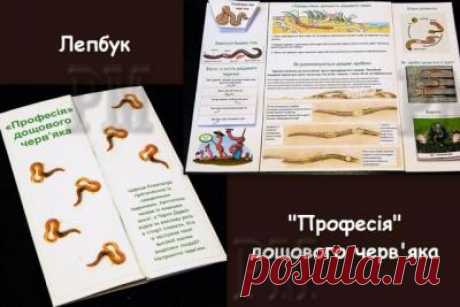 Лепбук "Професія" дощового черв'яка