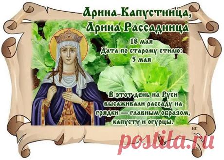 Поздравляю с Ариной Капустницей! Пусть этот день станет отличным стартом для богатого урожая. Открытки на Арина Капустница (Рассадница)!
