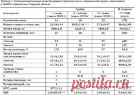 Состав мяса мясных пород коров - БиоКорова