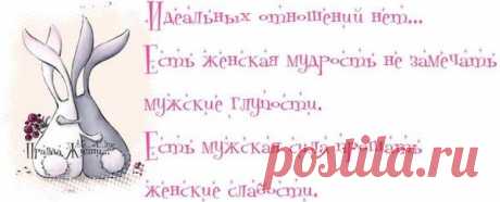 Воскресные картинки // ОПТИМИСТ
