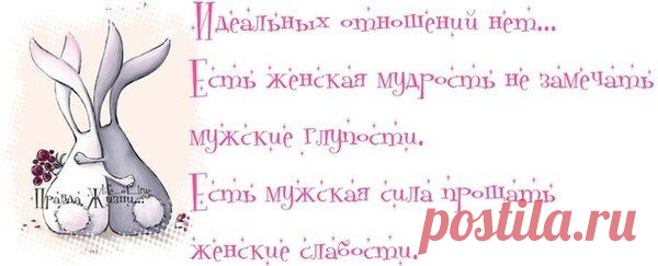 Воскресные картинки // ОПТИМИСТ